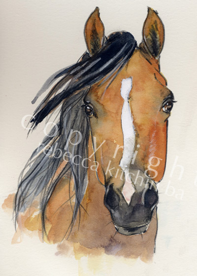 horse head sketches. Illustration for Milkwood